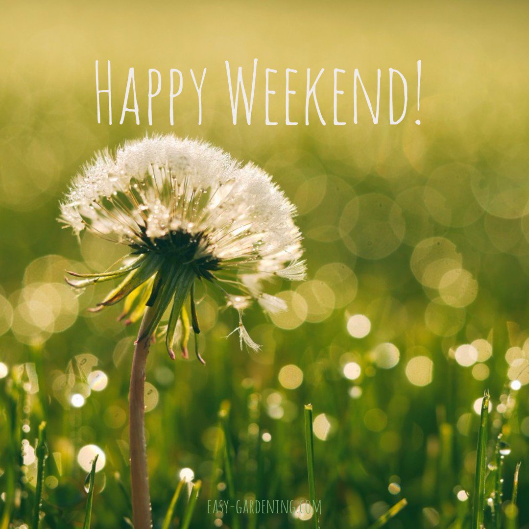 Happy Weekend!