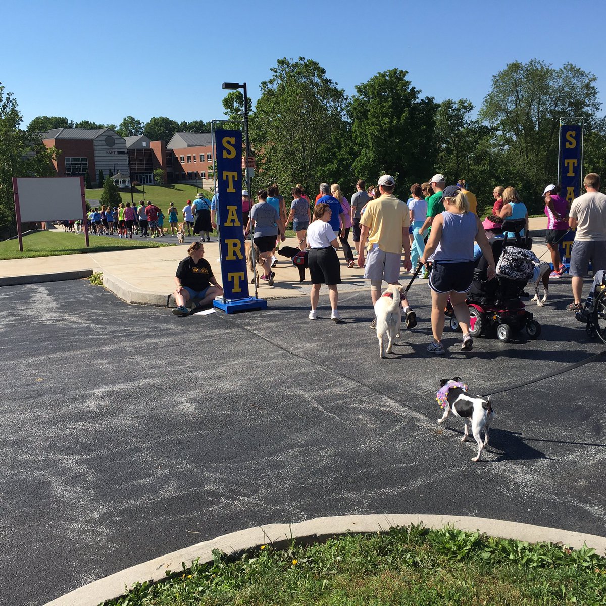 WESpolarbears's tweet photo. Aspen finishes! With some cheers and company from WES students! #udservicedogs #paws4acause https://t.co/YGmmIqvspZ