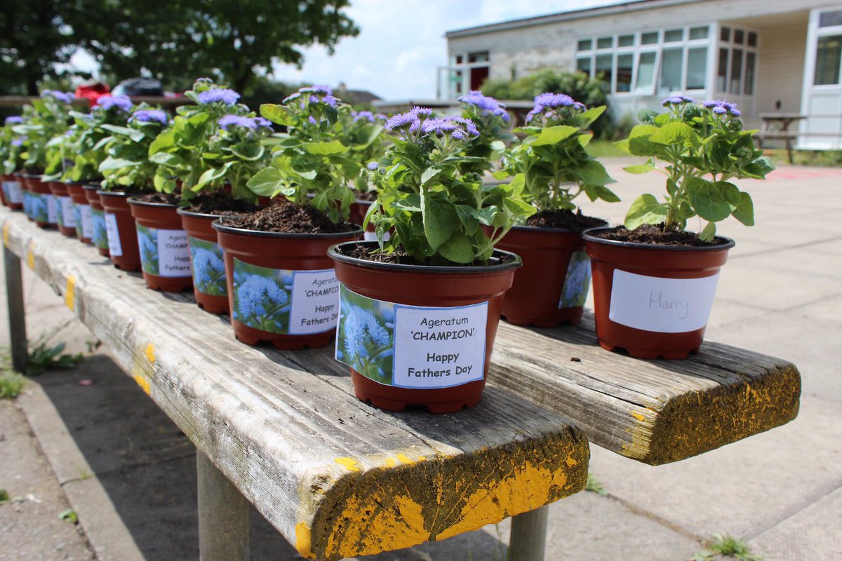 Garden_Plotters's tweet photo. Look what Y1 @StBernadetteLC have been doing for #EmptyClassroomDay lucky dads! https://t.co/ZjCZFKAqui
