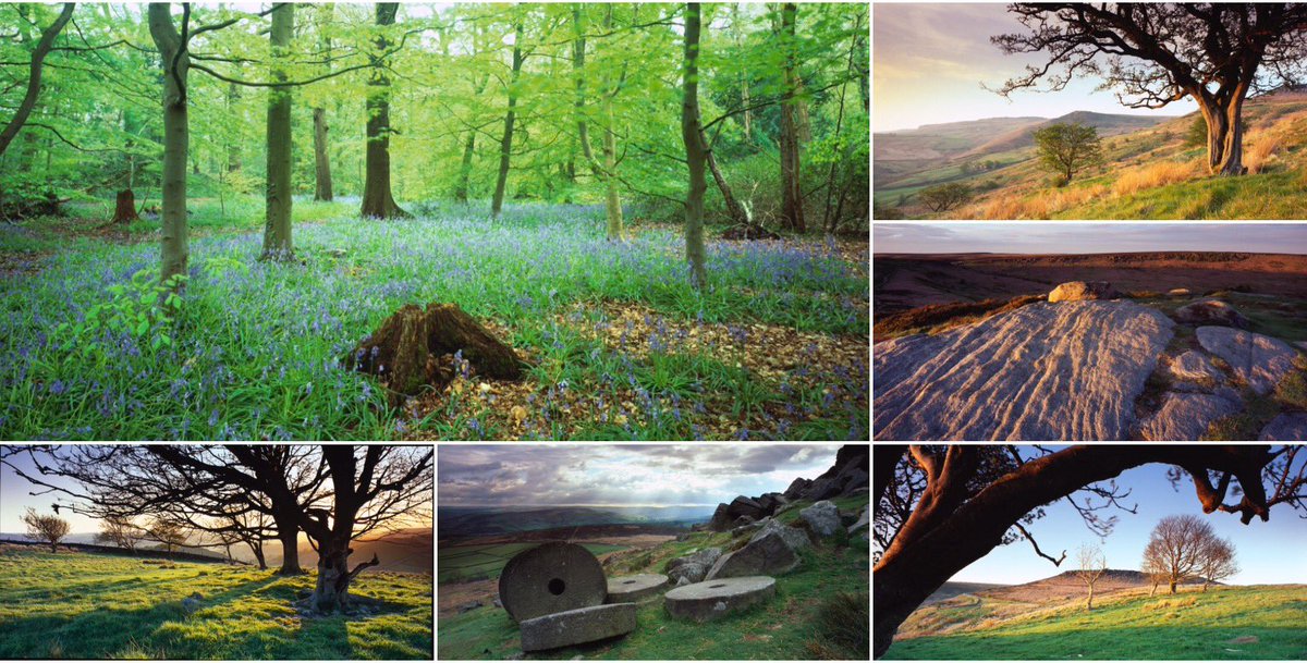 Dave Parry tweet media