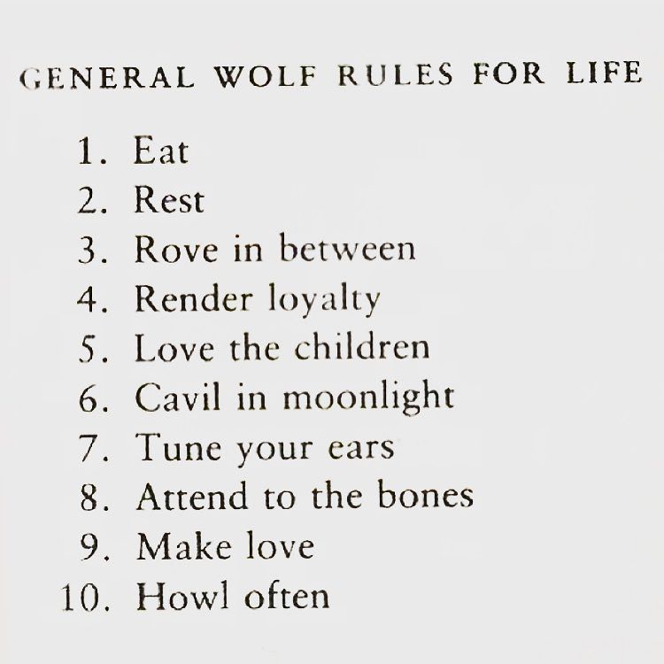 inactive316x21's tweet photo. Tell the wolves I'm home #quote #inspiration #live #love #life https://t.co/dwh5HmVZGL