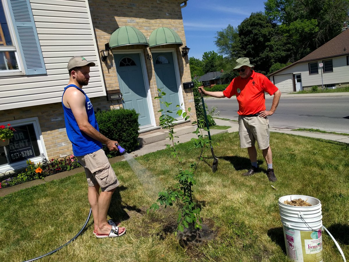 rfldn's tweet photo. Don't forget to water your planted trees! Here's a great volunteer at our Southcrest #treeblitz giving a tree a soak https://t.co/io4UT9Y1ot
