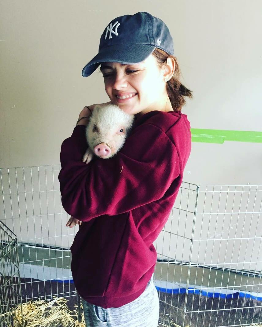 arii_lauer's tweet photo. @Noel_Truscott took me to a petting zoo!! Look at this little guy 😍! We have yet to find the bunnies yet...🐰🐰 https://t.co/bAT7Umjc6v
