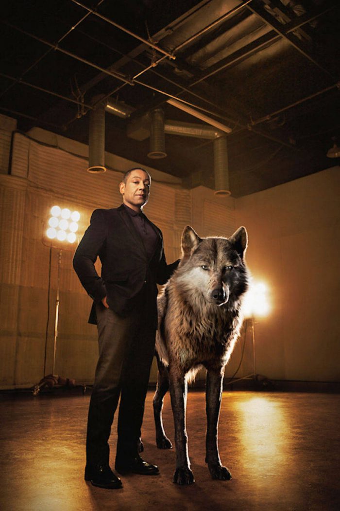 미춌다 정글북 화보? 너무 멋져