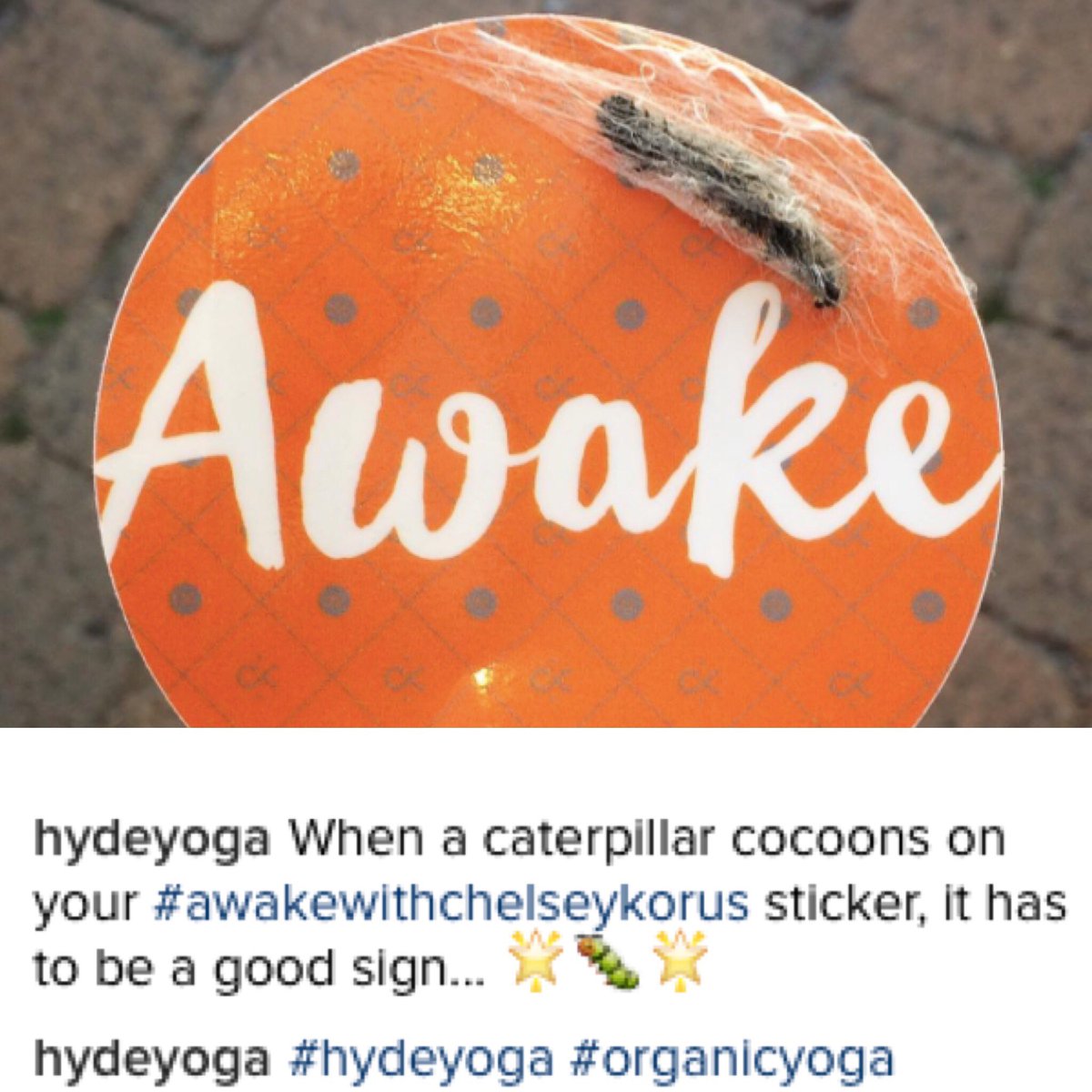 chelseykorus's tweet photo. π this #awakewithchelseykorus sticker is metamorphosing! thx for sharing @HydeYoga π #wlstratton https://t.co/zSEPS2yAjL