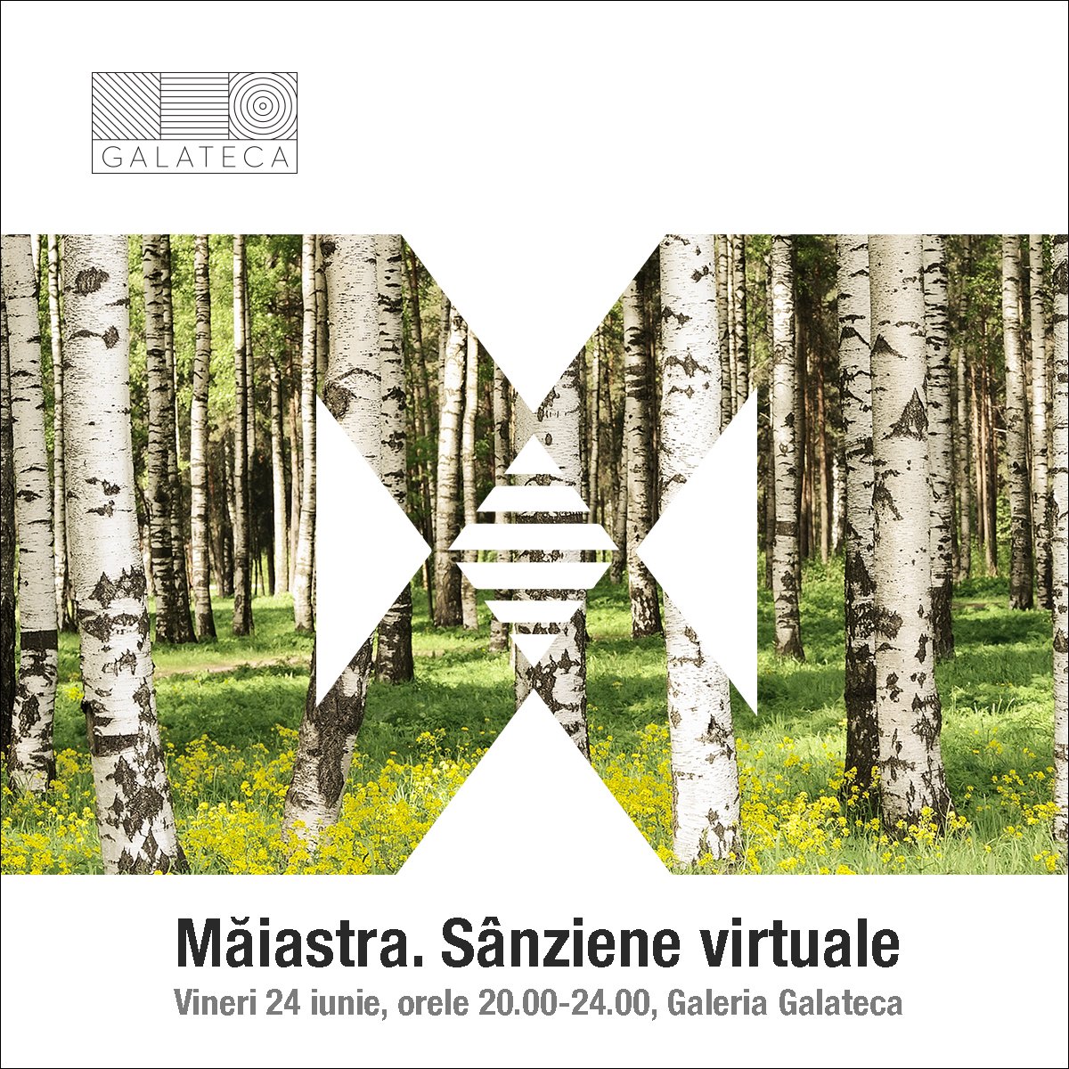 Galateca Gallery tweet media