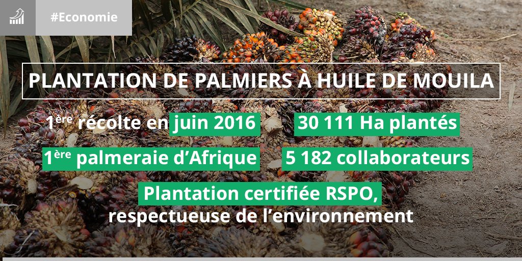 Le site de Mouila est un véritable vivier d’emploi et de croissance pour toute la province de la Ngounié.