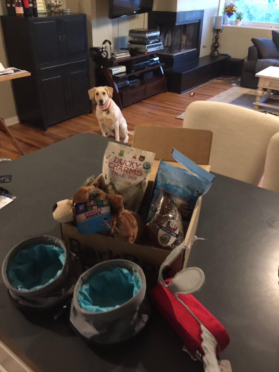 FrannyVincent's tweet photo. Wow! @barkbox  Great box this month! #duckycharms #bungeebuddy #snackstream https://t.co/nTeVaJyb5b