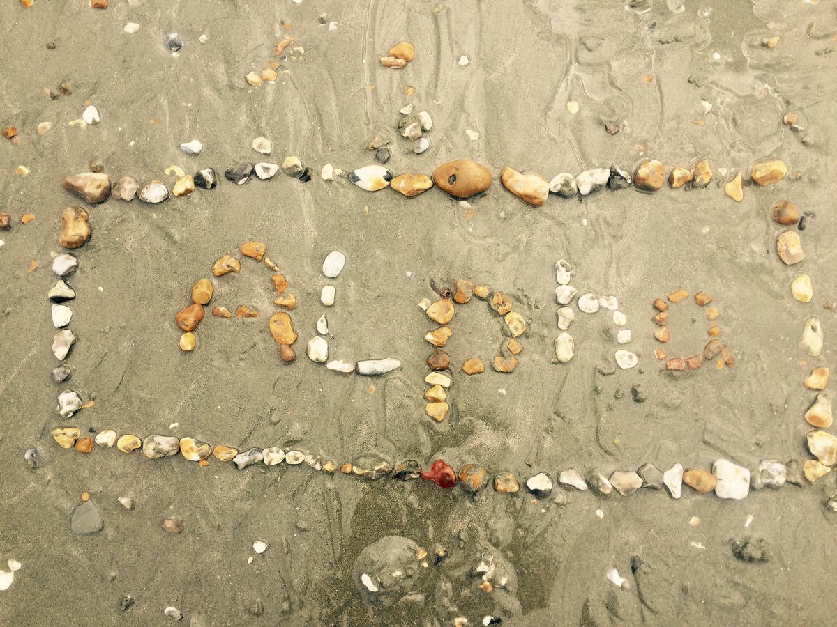 Tracy Joss tweet media