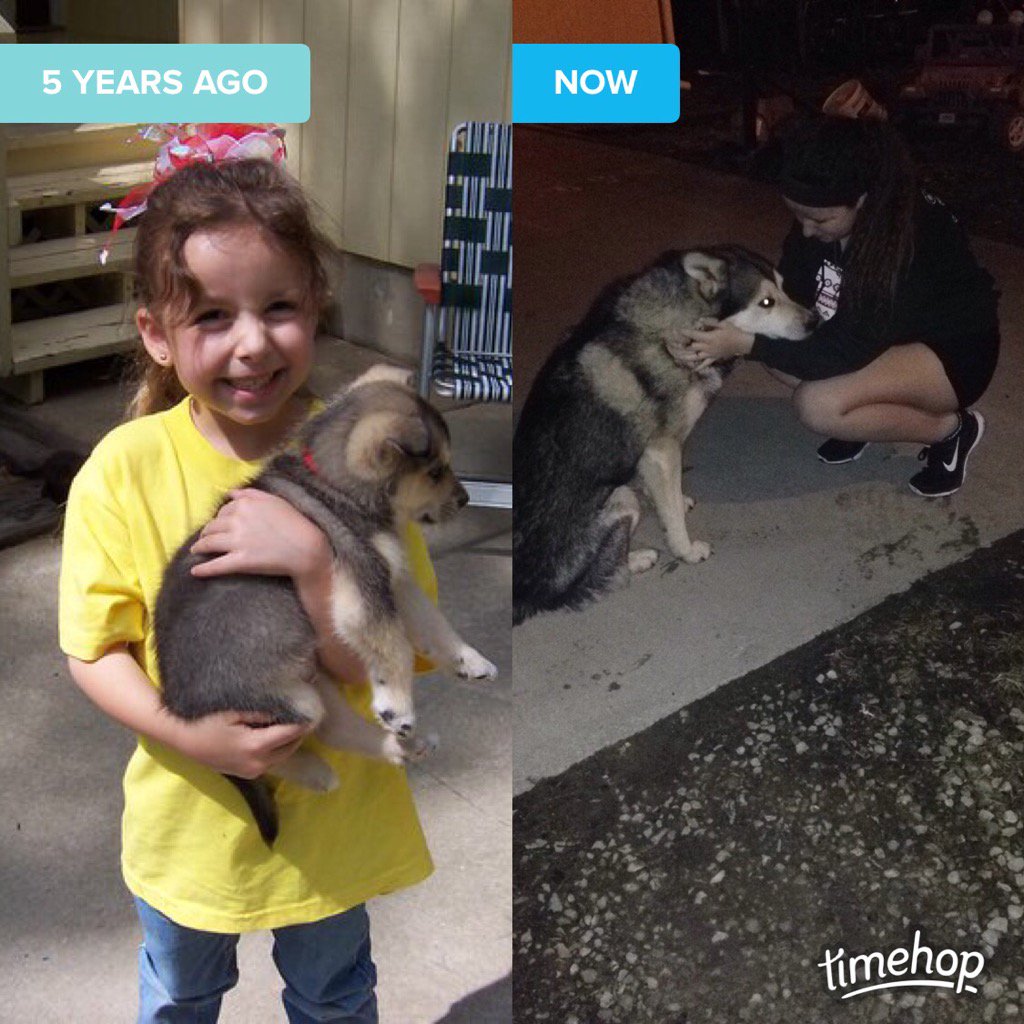 jedipretzel's tweet photo. My little Iga isn't so little anymore.😢😢 https://t.co/N1gWP8WnhJ