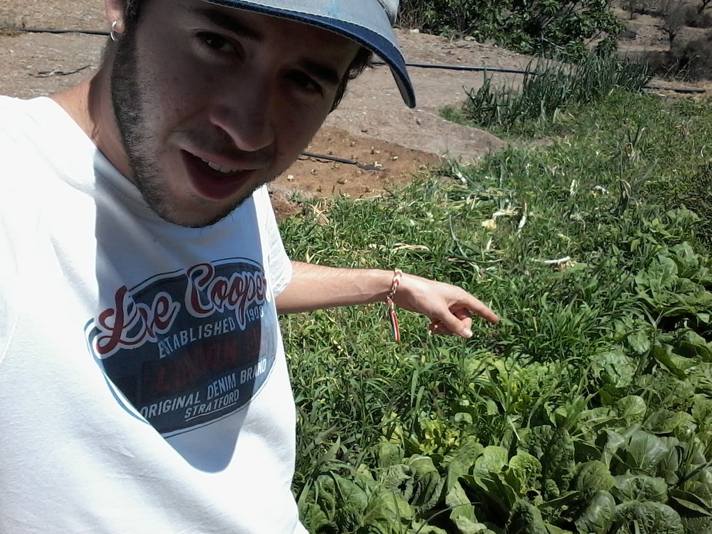 cristobalamoros's tweet photo. ¿Que cual es mi secreto para lusir joven y bello a pesar de mi edad?  
Recoger lechugas XDXD https://t.co/Sk1vlSMQsJ