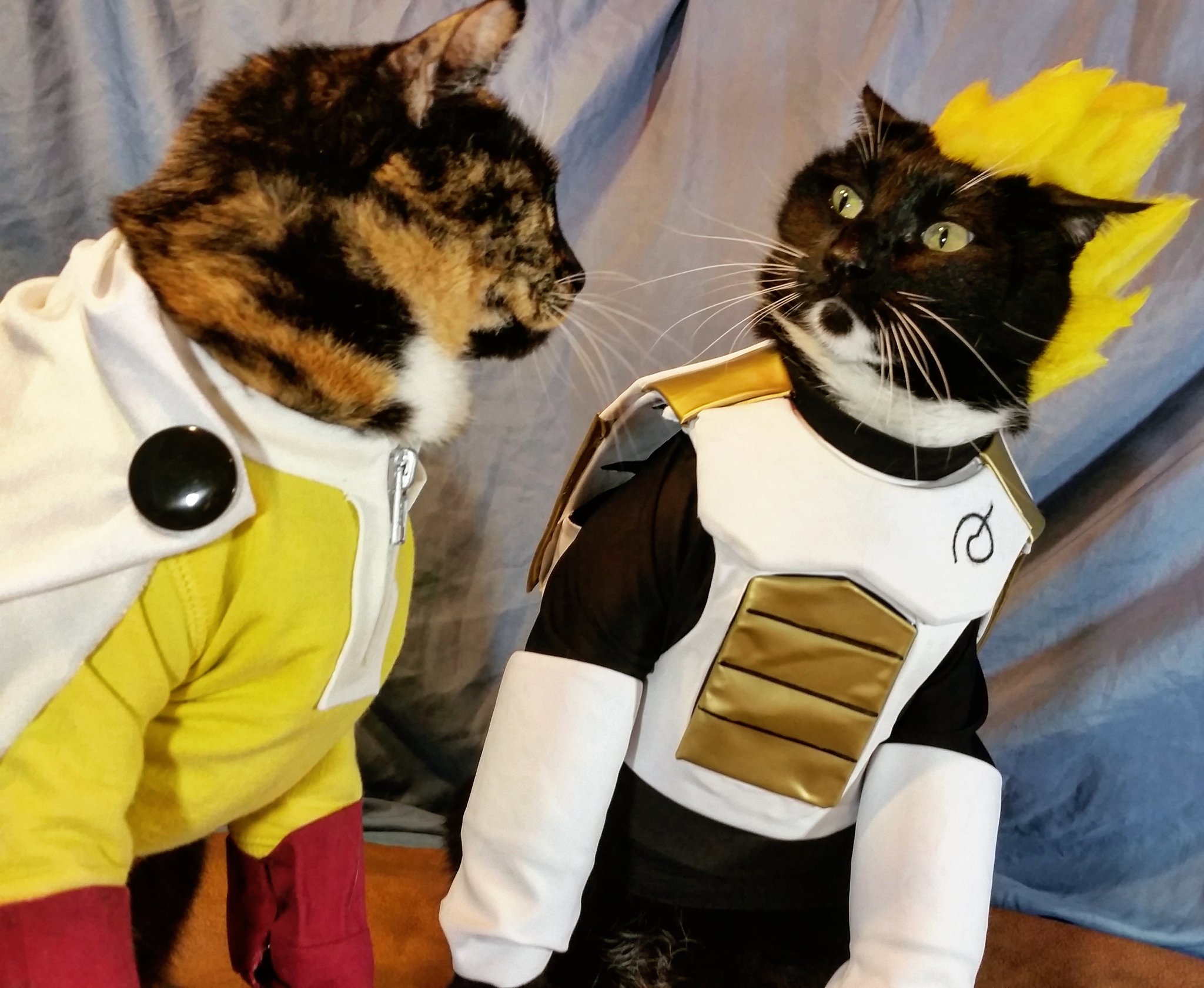 Cat Cosplay 🐾🌸 on Twitter: "Vegeta never expected someone more