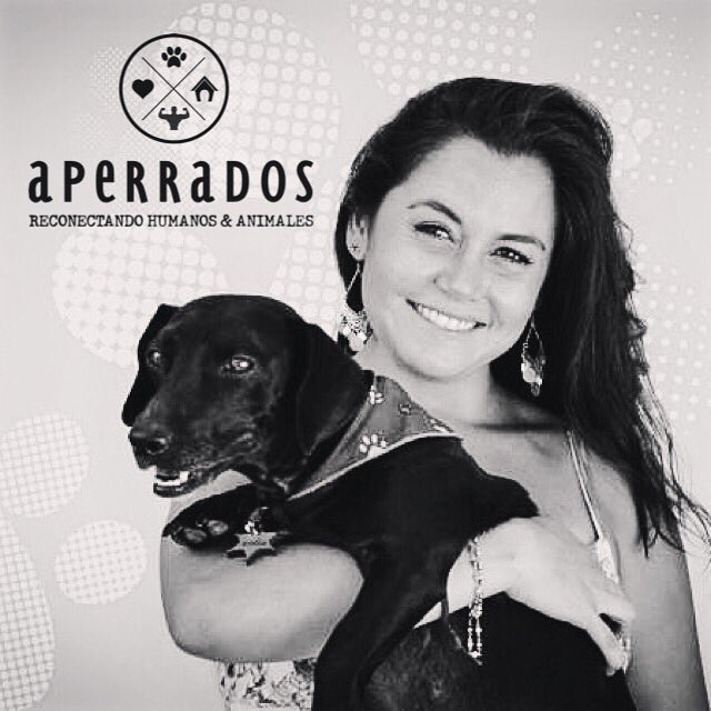 APERRADOSCHL's tweet photo. Hola!
Somos Mich &amp; Diego.

Teníamos pendiente una presentación "formal" a si que acá va 👉🏼 https://t.co/Lqls0tWshq https://t.co/8cnmaM34G3