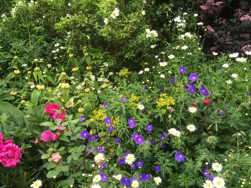 The Coach House tweet media