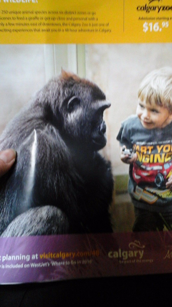 Cheryl Wrishko tweet media