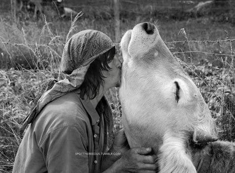 Murphyheart's tweet photo. Worth a retweet, how cute is this? By SPOTTHEREEDUS on Tumblr @Loungefly25 @ennoia3 @ChandraMJordan https://t.co/HMKV557ZMq