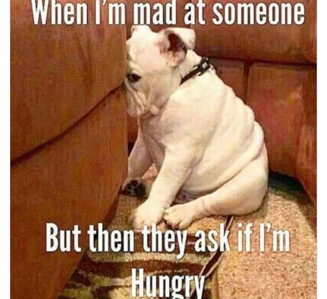 taratea123's tweet photo. @Mesha_lcfc74 I saw this, and thought of you, and how many times I asked if you was hungry 🙈🙈🙈. Haha. https://t.co/sjFKdhD3yi