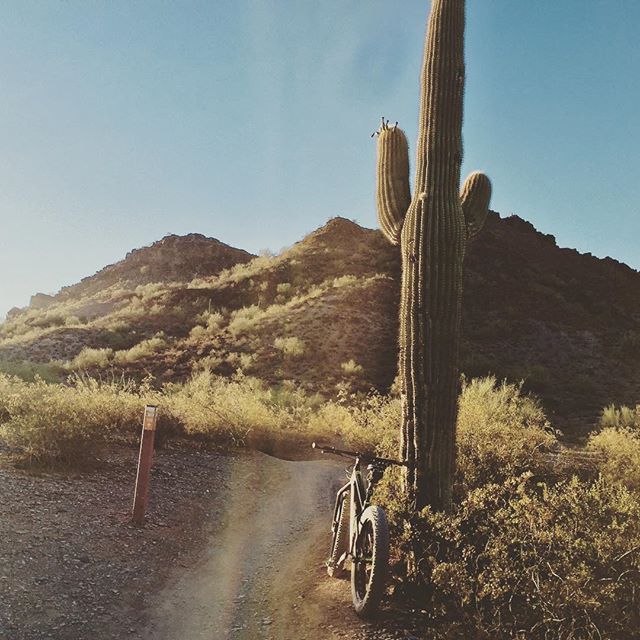 TuttoMTB's tweet photo. ayqueloco / Five Thirty A.M. #azmtb #fatbike #ridefat https://t.co/48I8jgwV5I