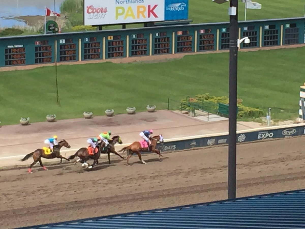 #8's in the lead!  Lakedell 4-H Lighthorse Club enjoys a day <a href="/Northlands/">Northlands</a> <a href="/thehorsesab/">Horse Racing Alberta</a> <a href="/4halberta/">4-H Alberta</a>
