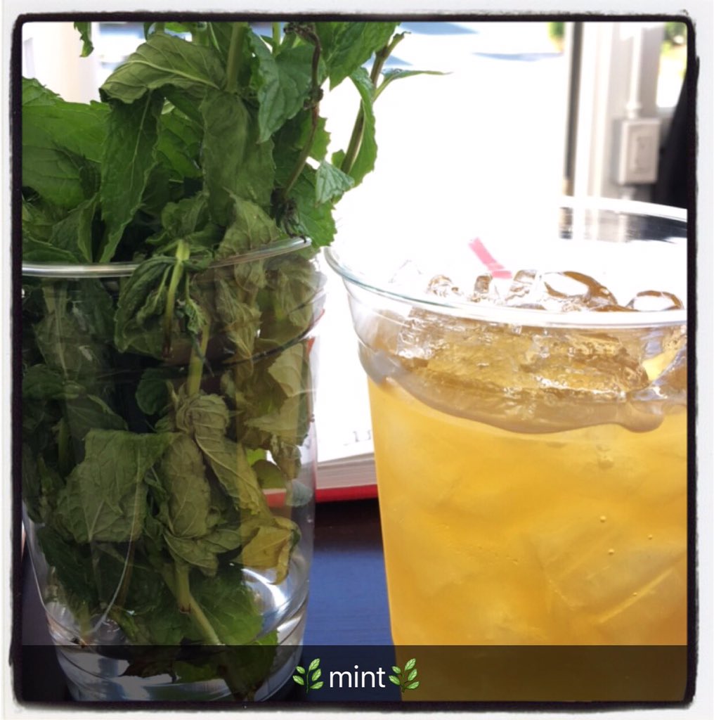 DakotaD's tweet photo. Beautiful ending to a beautiful day ☀️🍵🌿 @PearlFineTeas is at @RestonStation selling #icedmint before Despicable Me! https://t.co/NJsIToYf9R
