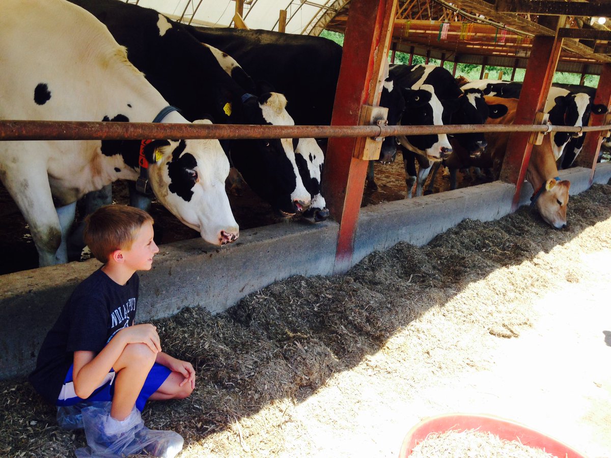 JoelporterKX's tweet photo. Families get to see where their milk comes from at this weekend's Northern Indiana Dairy Trail. The story on @WNDU https://t.co/Mrq2sul4wR
