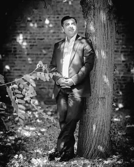 Demirtaş ezilenin yanında.
Ötekileştirilenin dostu,
Sizin efendiniz,
Bizim de irademizdir.

 #HerKürtBirDemirtaştır