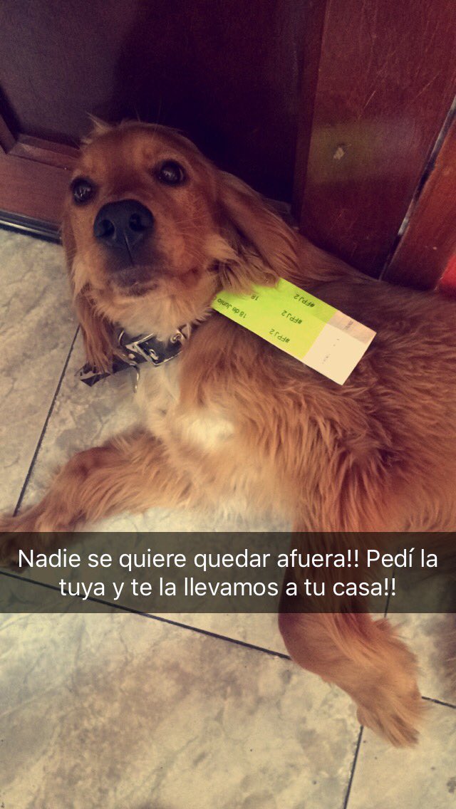 EzequielMarando's tweet photo. #FPJ2 imperdible! Hasta las 4 te las llevamos a tu casa https://t.co/9Css9w4q8q