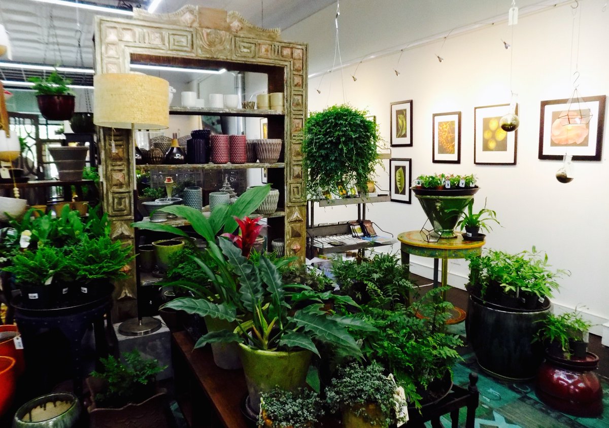 CultivateShop's tweet photo. Come see us while you're at #CusterFair in #Evanston! https://t.co/P0hnzZif6q https://t.co/U2GrHCWXGV