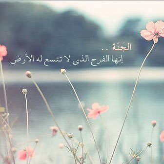 4400_selo's tweet photo. اللهم ارزقنا الجنة ومن نحب https://t.co/3kqYP2kc3v