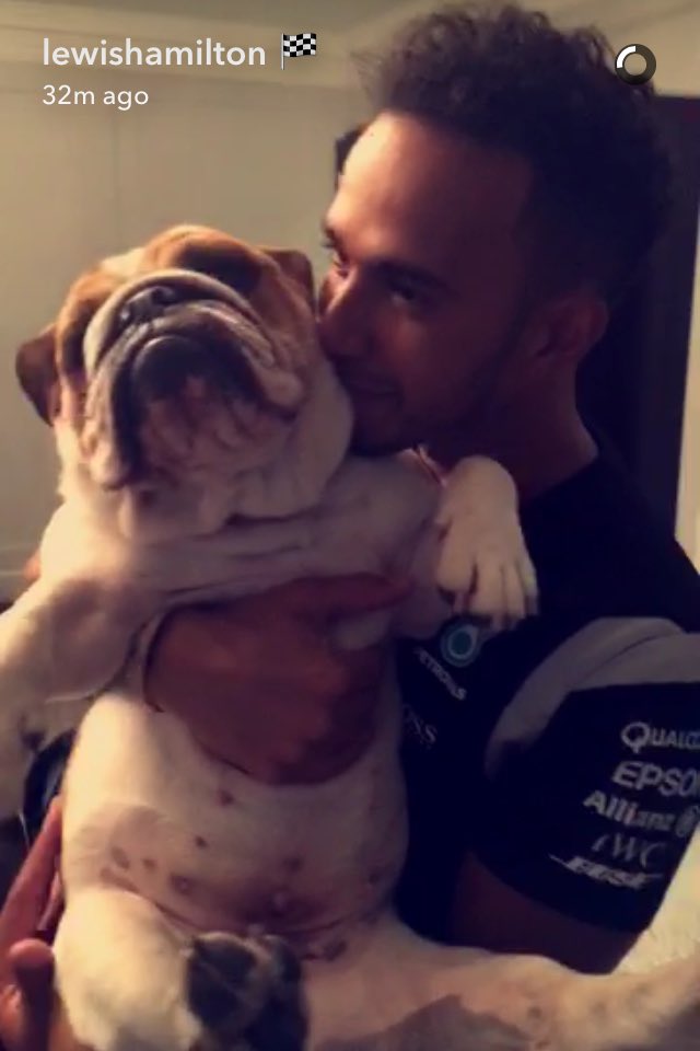 DianaSucha_44's tweet photo. This type of love ๐ @LewisHamilton #CocoHam #TeamLH https://t.co/cU61sppuNP