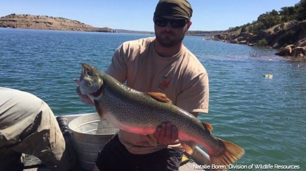kslnewsradio's tweet photo. 5 local places to catch big fish with a fly rod. https://t.co/1VTR1Ioijs https://t.co/ahyxfU8qys