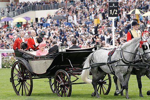 Ascot's tweet photo. A thank you to everyone who attended or tuned in to #RoyalAscot this week. It was special. https://t.co/A6cLuCV98k
