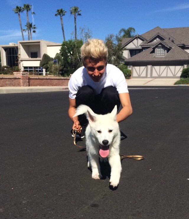 KingPomsky's tweet image. Follow us on snapchat 👻 @kingpomsky &amp;amp; @weekly-chris