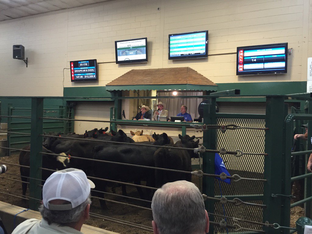 JenETLC's tweet photo. Listening to Top Ten #WLAC contestants sell at #ParisStockyards@sellatauction https://t.co/XQkFugCF11