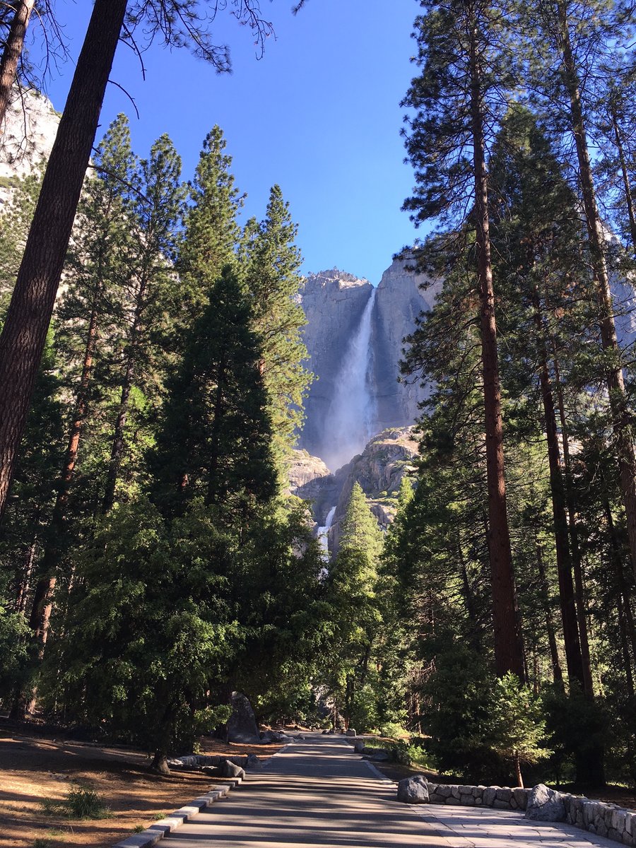 "These parks belong to all of us. This planet belongs to all of us. It’s the only one we’ve got" —<a href="/POTUS/">President Donald J. Trump</a> in Yosemite