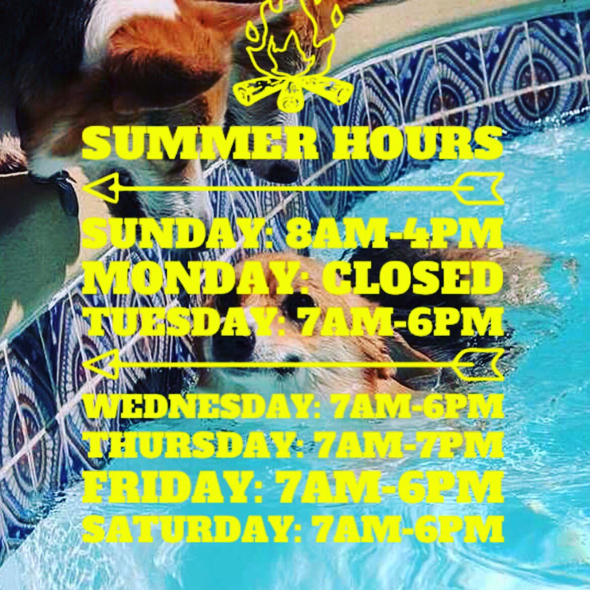 thebean226 on Twitter "New Summer Hours. 🌺🌊☀️ https//t.co/8mezdtt1ny