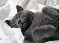 myselfandhealth's tweet image. Sometimes no amount of sleep makes the tired go away. #depression