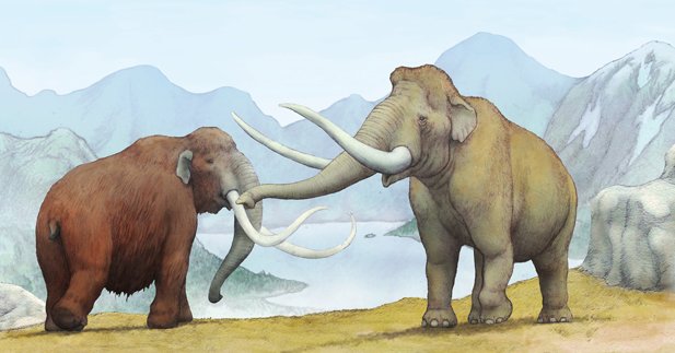 川崎悟司 北海道にてマンモスとナウマンゾウの共存していたイラスト そして化石ゾウの専門の方から全力否定されてボツったイラスト T Co T6hddvyp3z Twitter