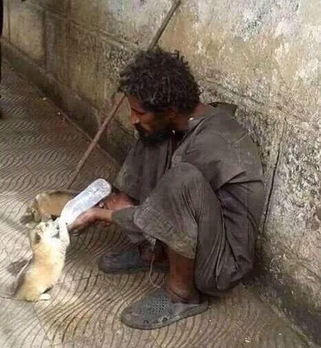 İnsan; iyiliği kadar taşlanır, 
Merhameti kadar dışlanır, 
Kulluğu kadar da sınanır.
{Yunus Emre}