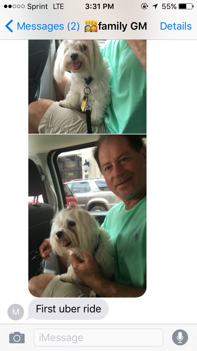 k_birch3's tweet photo. my parents like my dogs better than me 😅 #firstuberride https://t.co/DtzBydaa1O
