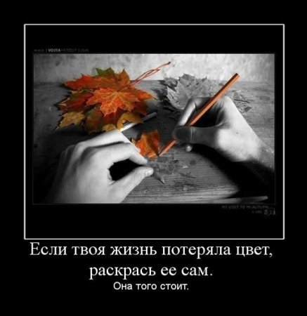 anrepaasss's tweet photo. https://t.co/VhqQBoti2X