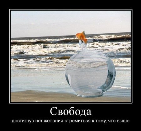 teterinaasss's tweet photo. https://t.co/E4vbqH1wbg