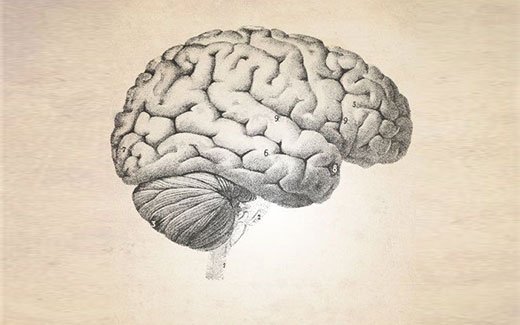 Life is busy. Get a mental massage led by @MGraceHughes on 25 June @ the Hothouse   &amp; relax! po.st/MindWk