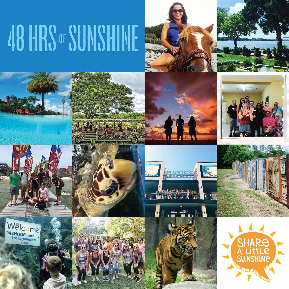 ShareALittleSun's tweet photo. #ICYMI, we shared an album of highlights from #48hrsofsunshine here: https://t.co/ja0X6WHunw #LoveFL https://t.co/zvuj8CasnE