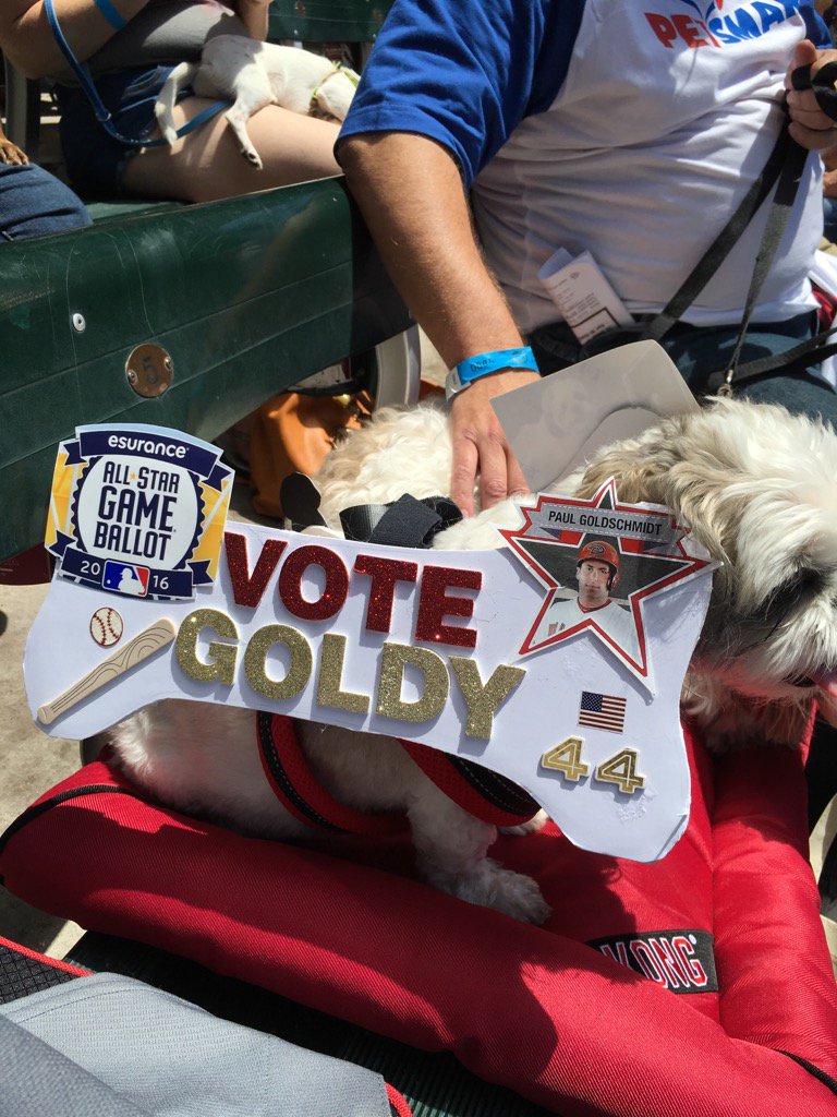 Melizard21's tweet photo. #VoteGoldy #VoteTheEvolution https://t.co/wSsOJ5DEDD