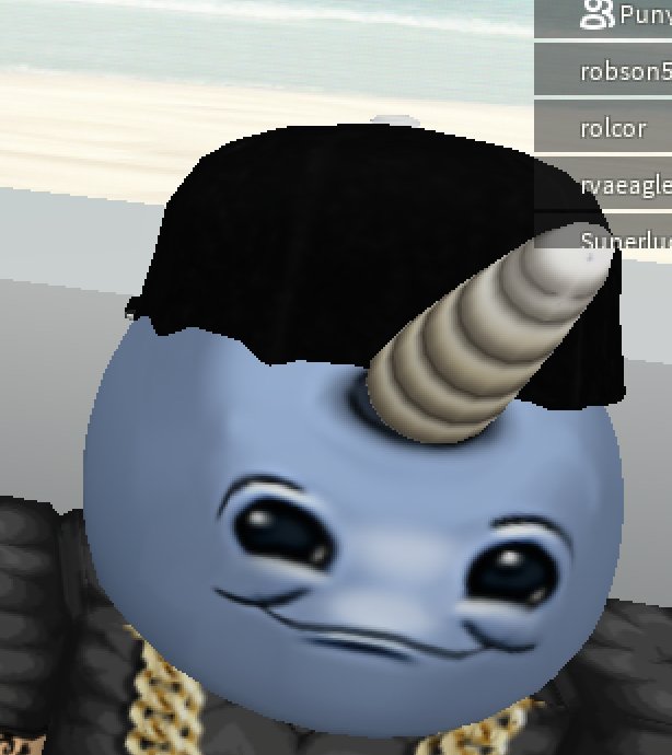 Robloxianwaterpark Hashtag On Twitter - 