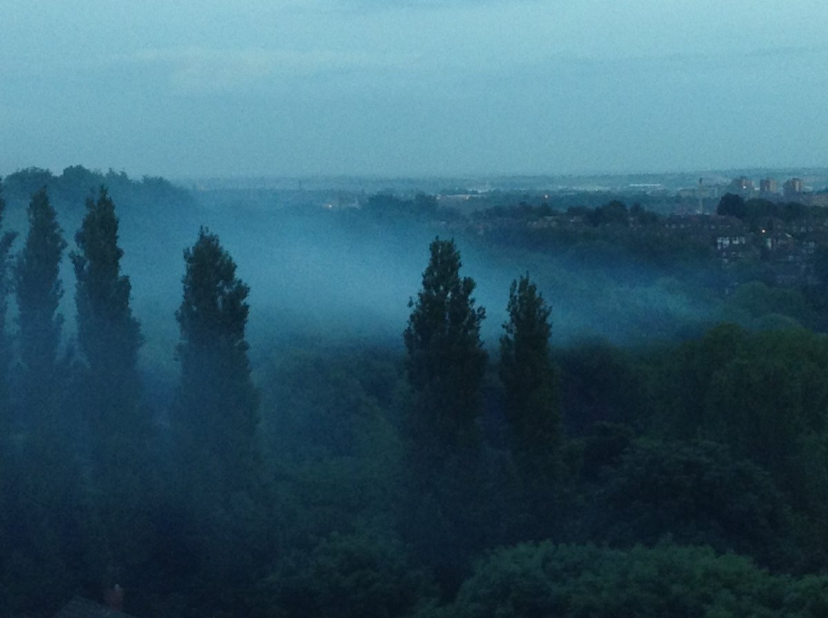 gledhowkites's tweet photo. Eerie in Gledhow Valley tonight https://t.co/tnsRt4lw88