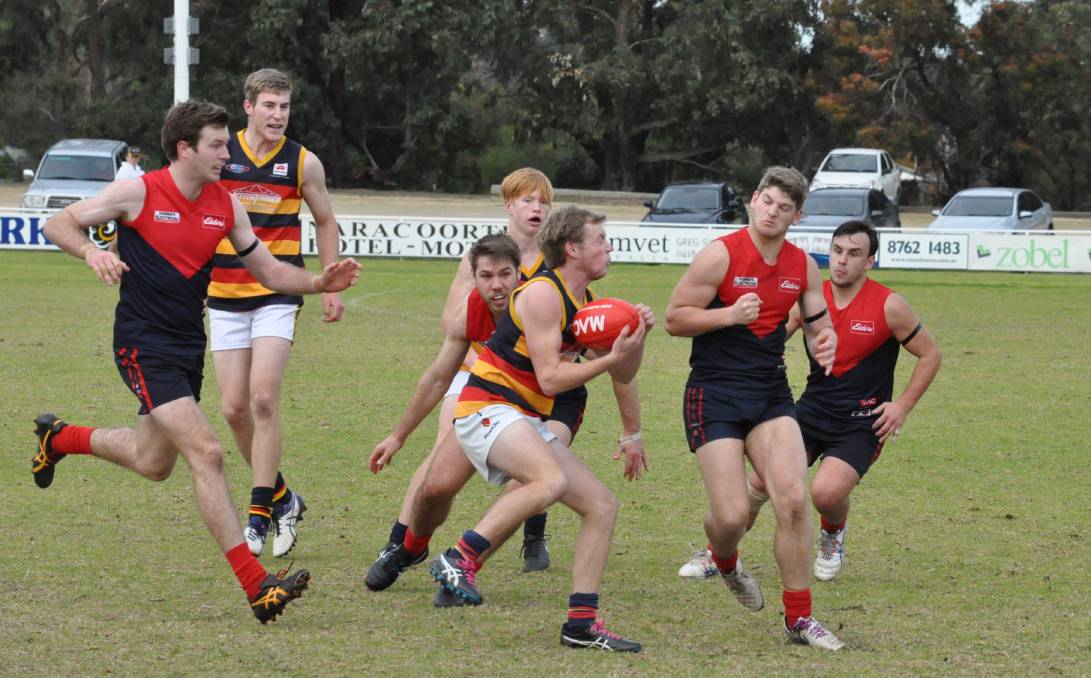 Border Chronicle tweet media