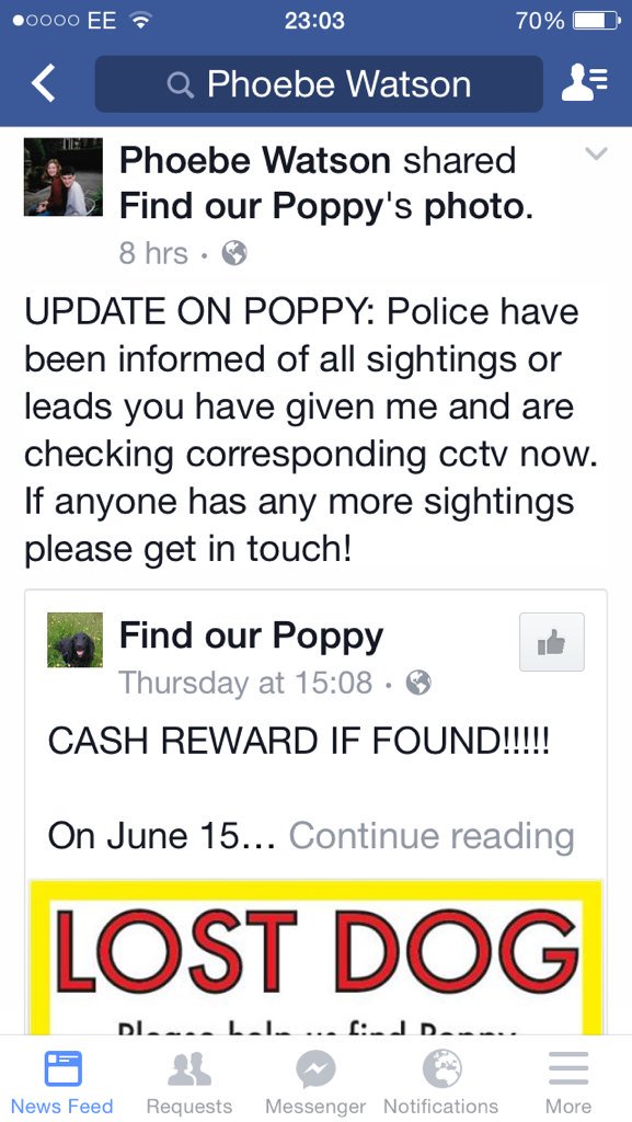 ChapelAToday's tweet photo. Latest update on the gorgeous Poppy @FurtherNorth @FGVWinfo @KithandKinCA @Mustardpot @LostboxYORKS https://t.co/bPd0zaESrP