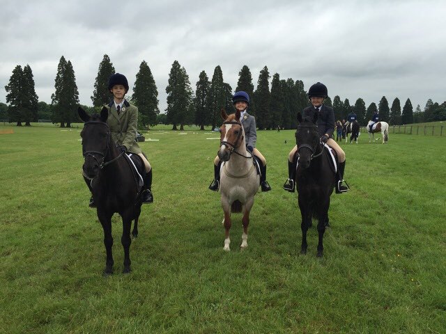 ColinaPickles's tweet photo. Ace day at Area 7 dressage with our grassroots team qualifying for champs. #futurestars #dressagedivas #poncyponies https://t.co/ibv83NQTbb